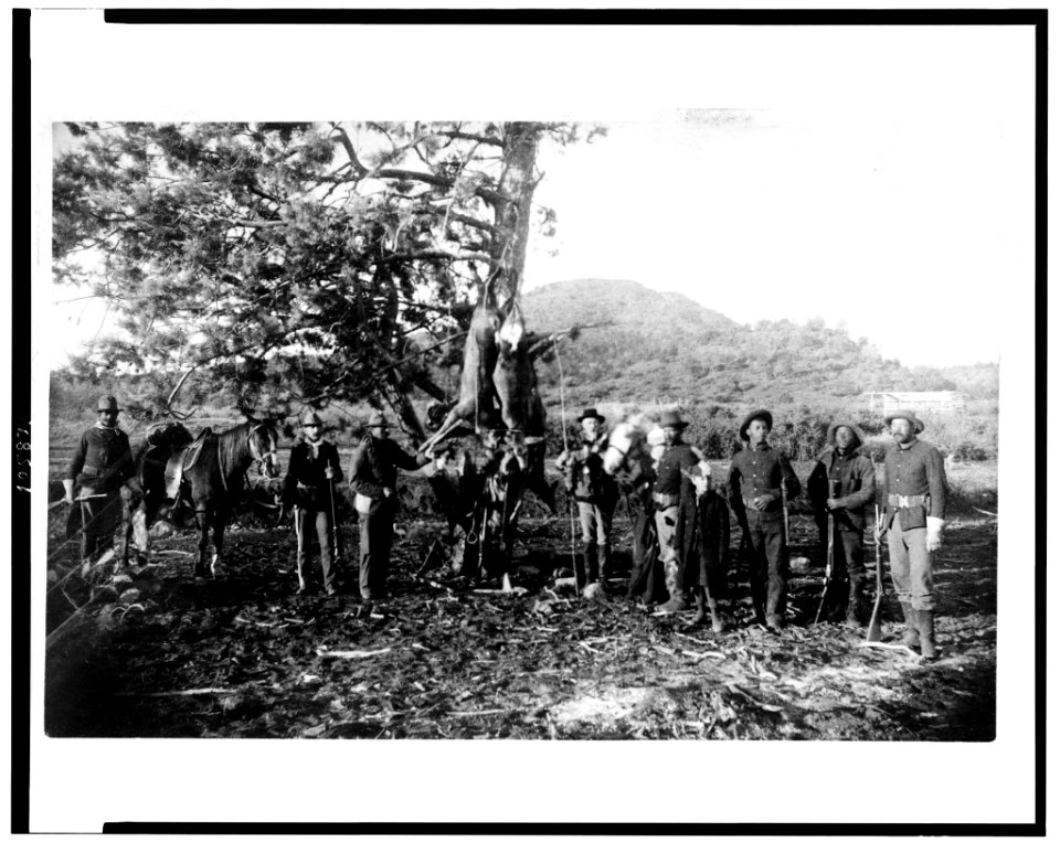 The successful hunters. Camp on Oak Creek, Arizona LCCN92513333