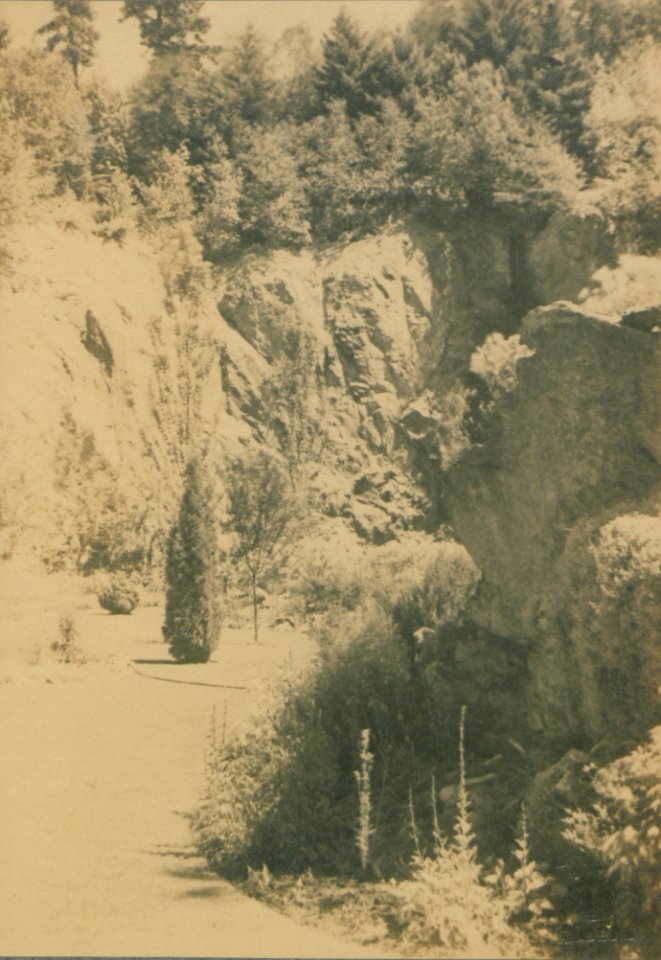 The sunken garden (looking south), Butcharts Gardens, Victoria, British Columbia (HS85-10-42132)