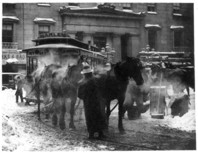 The Terminal (1892) LCCN2003671173