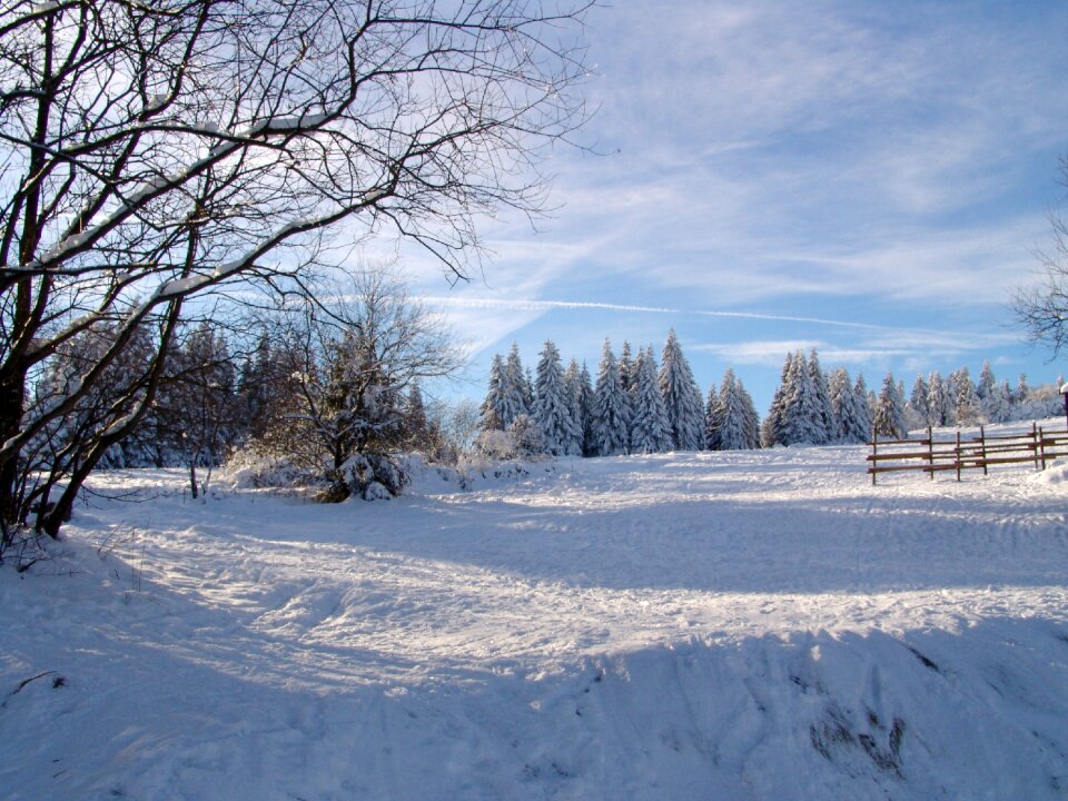 Resin winter wintry