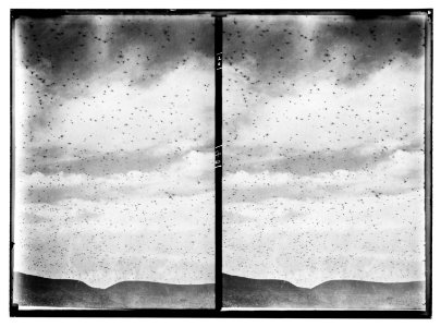 The terrible plague of locusts in Palestine, March-June 1915. Cloud of locusts coming over the horizon. LOC matpc.01889