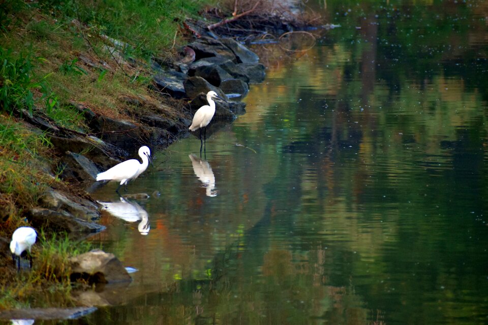 Water reflection pond