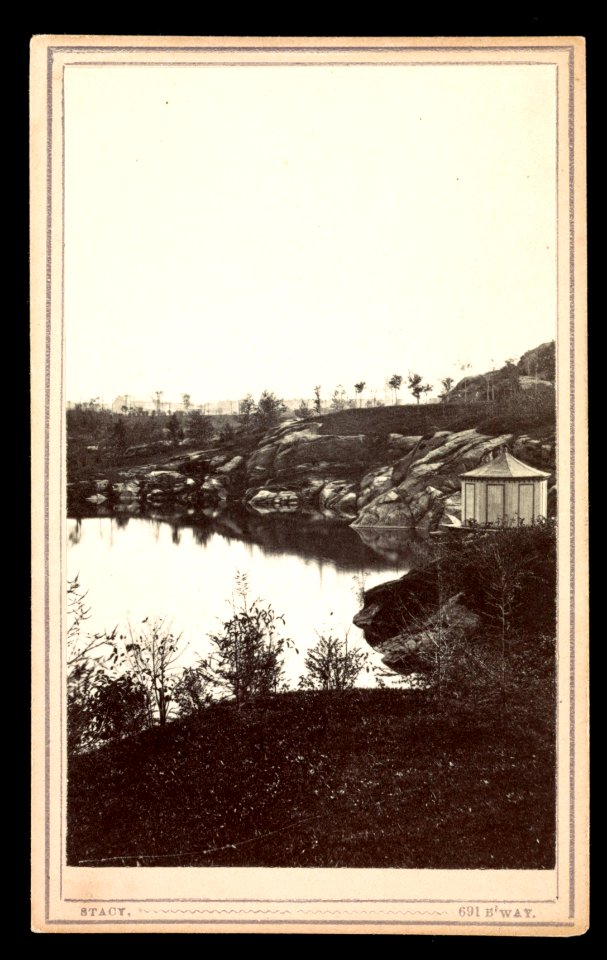 The terrace, foliated ramps, Spring, Central Park (New York City) - Stacy 691 B'way. LCCN2016653320