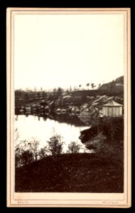 The terrace, foliated ramps, Spring, Central Park (New York City) - Stacy 691 B'way. LCCN2016653320