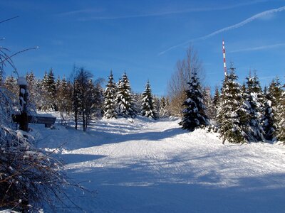 Resin winter wintry
