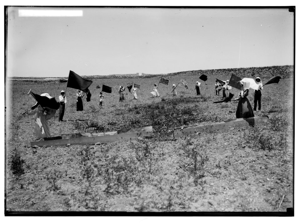 The terrible plague of locusts in Palestine, March-June 1915. Trapping locusts. LOC matpc.01911