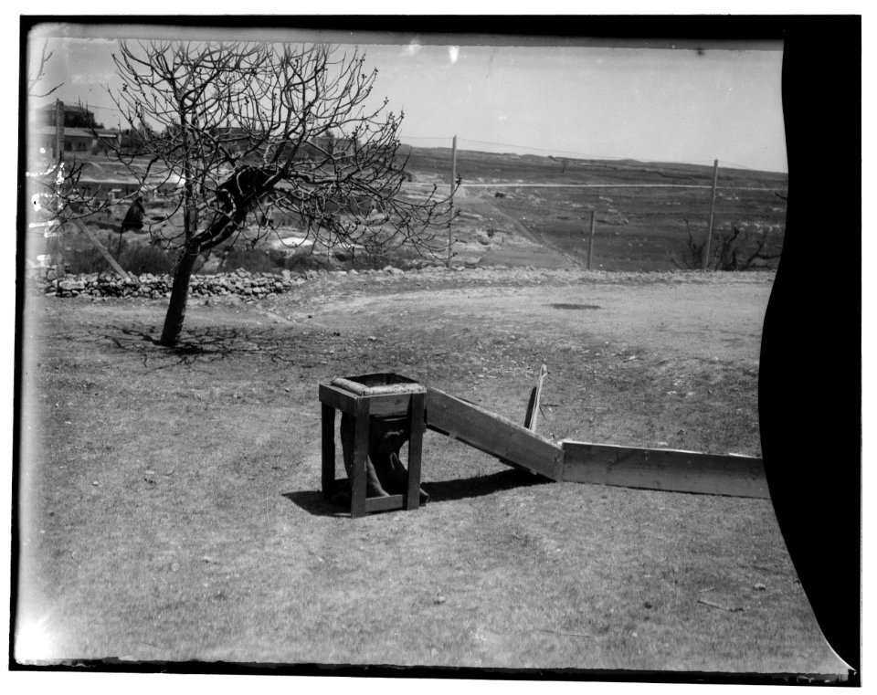 The terrible plague of locusts in Palestine, March-June 1915. Portable trap with sack attached LOC matpc.00139