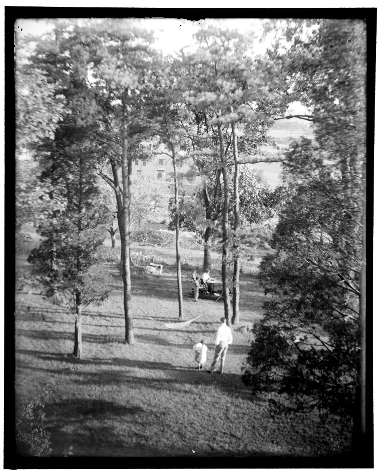 The Turner garden at Waban, Mass. LCCN2006684244