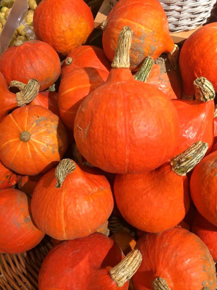 Halloween october season