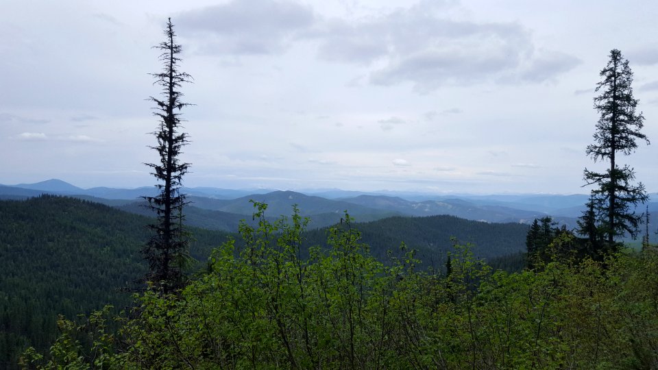 The view north from road 261. (40442363331)