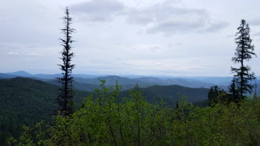 The view north from road 261. (40442363331)