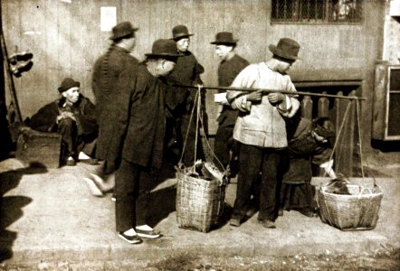 The Vegetable Peddler Genthe