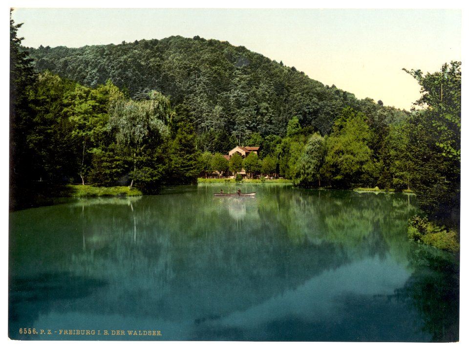 The Waldsee, Freiburg, Baden, Germany-LCCN2002713580