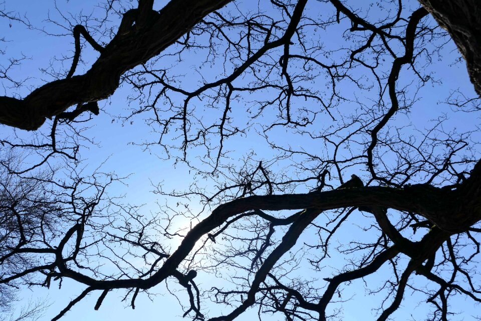 Nature landscape sky