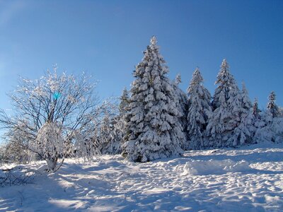 Resin winter wintry photo