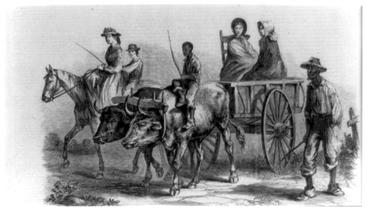 The war in Virginia - farmers' families on their way to the Union commissaries for food LCCN2002723986