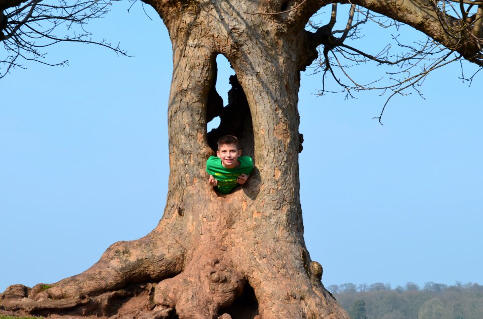 Green t-shirt playing kedleston hall