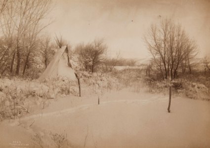 The White Death