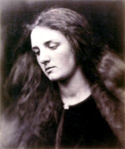 The Wild Flower, by Julia Margaret Cameron