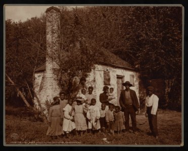 The Whole black family at the Hermitage, Savannah, Ga. LCCN2007676238