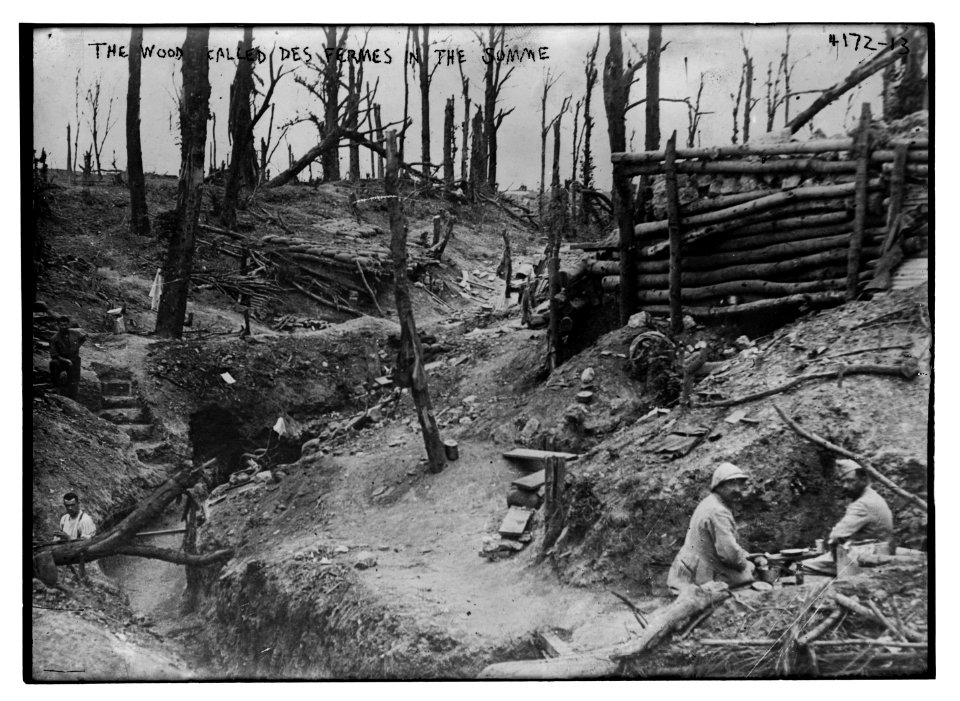 The wood called Des Fermes in the Somme LCCN2014704291