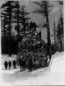 The World's Fair load of logs, 36,055 feet LCCN2005686703