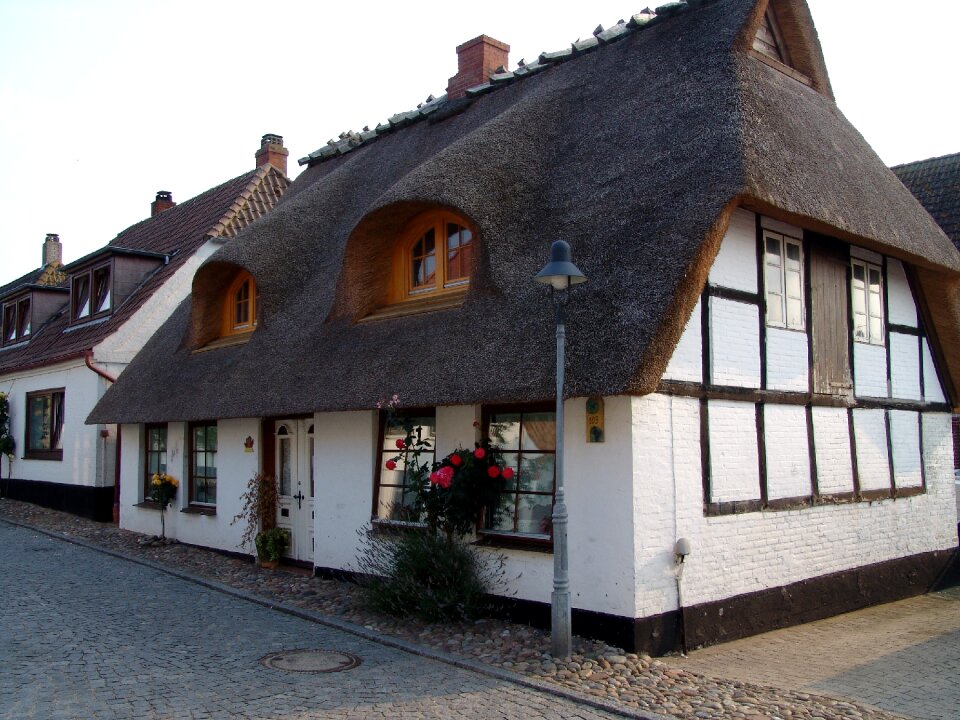 Holstein thatched mecklenburg