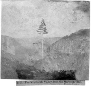 The Yosemite Valley, from the Mariposa Trail- Mariposa County LCCN2002717159