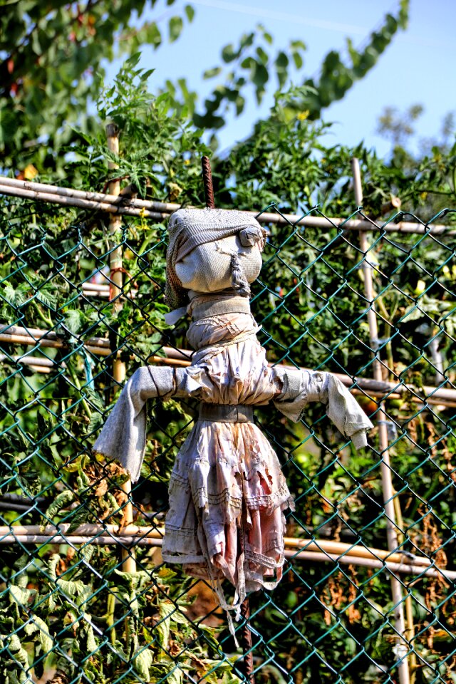 Figure agriculture garden decoration
