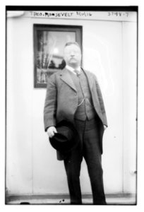 Theo (Theodore) Roosevelt, 2-11-16 LCCN2014700945