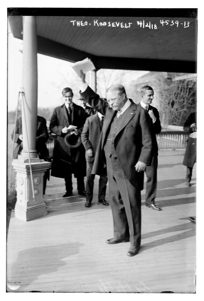 Theo. Roosevelt, 4-2-18 LCCN2014719437