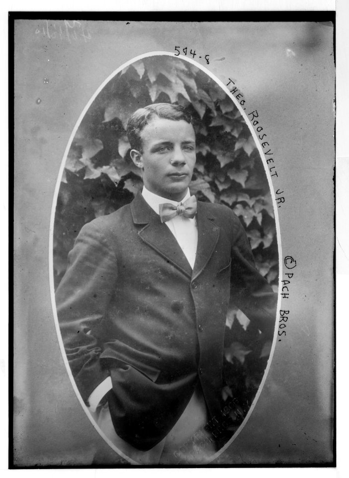 Theo. Roosevelt, Jr. LCCN2014682831