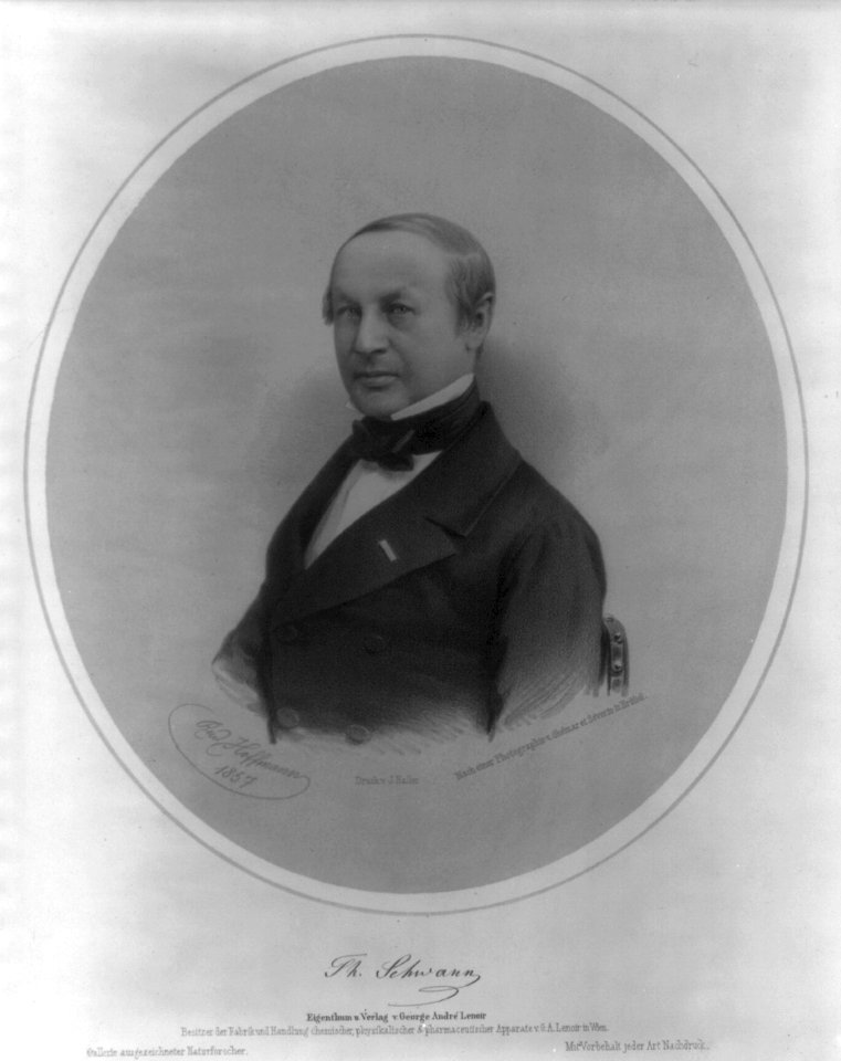 Theodor Schwann, 1810-1882, head and shoulders, facing left LCCN2006684577