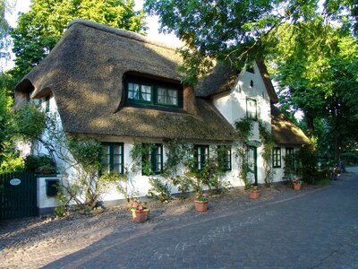 Holstein thatched mecklenburg