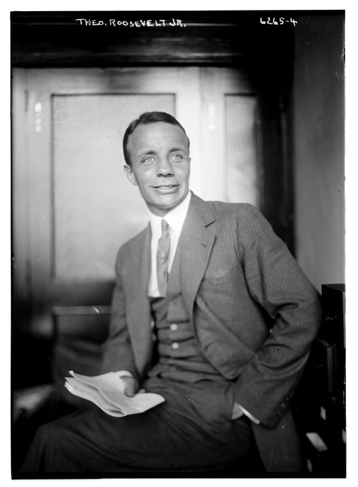 Theo. Roosevelt, Jr. LCCN2014717730