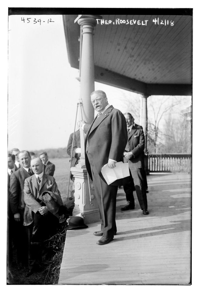 Theo. Roosevelt, 4-2-18 LCCN2014719436