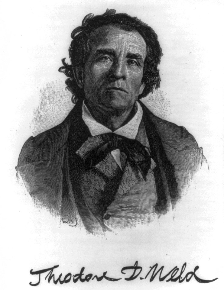 Theodore Dwight Weld, 1803-1895, bust portrait, facing slightly left LCCN2006687237