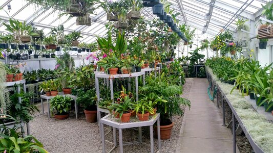 Plants plant flowers