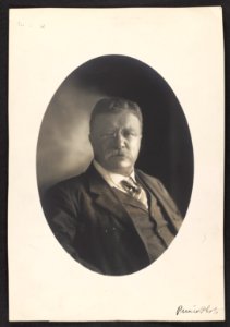 Theodore Roosevelt - head down LCCN2013648194