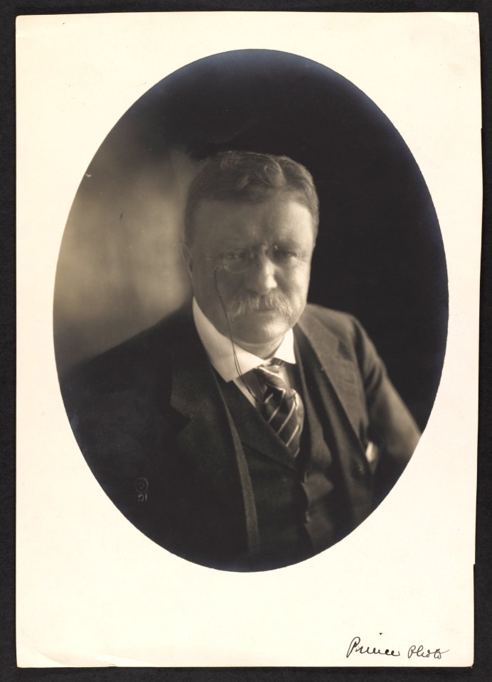 Theodore Roosevelt - head up LCCN2013648186