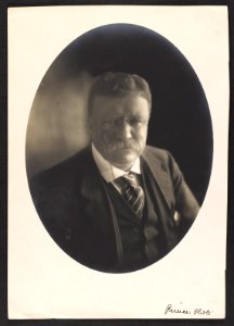 Theodore Roosevelt - head up LCCN2013648186