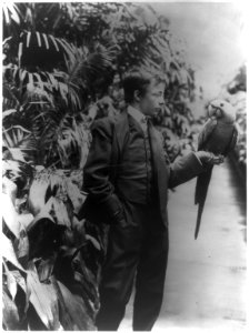Theodore Roosevelt & Eli Yale (blue macaw) LCCN2001703928