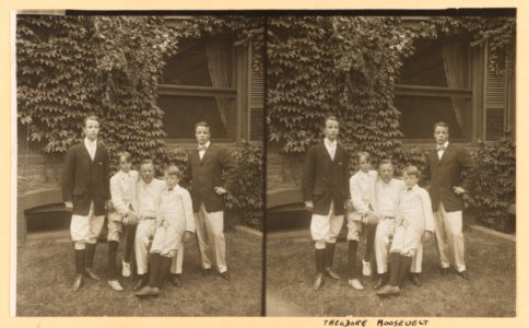 Theodore Roosevelt and his sons LCCN2009631454