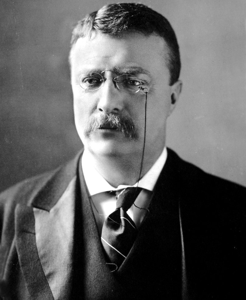 Theodore Roosevelt circa 1902