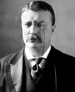 Theodore Roosevelt circa 1902 photo