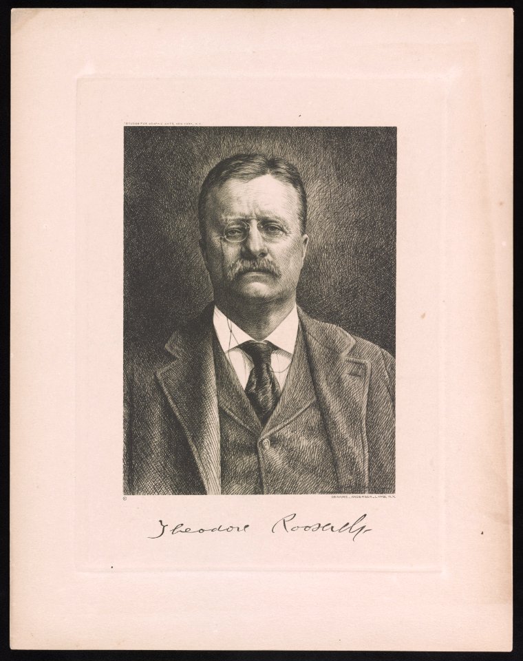 Theodore Roosevelt - gravure Andersen-Lamb, N.Y. LCCN2015650306