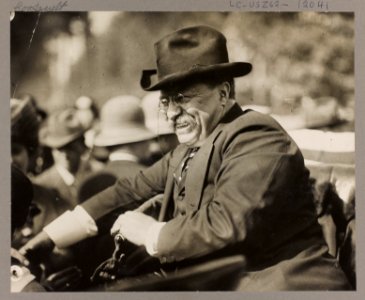 Theodore Roosevelt LCCN2009633106