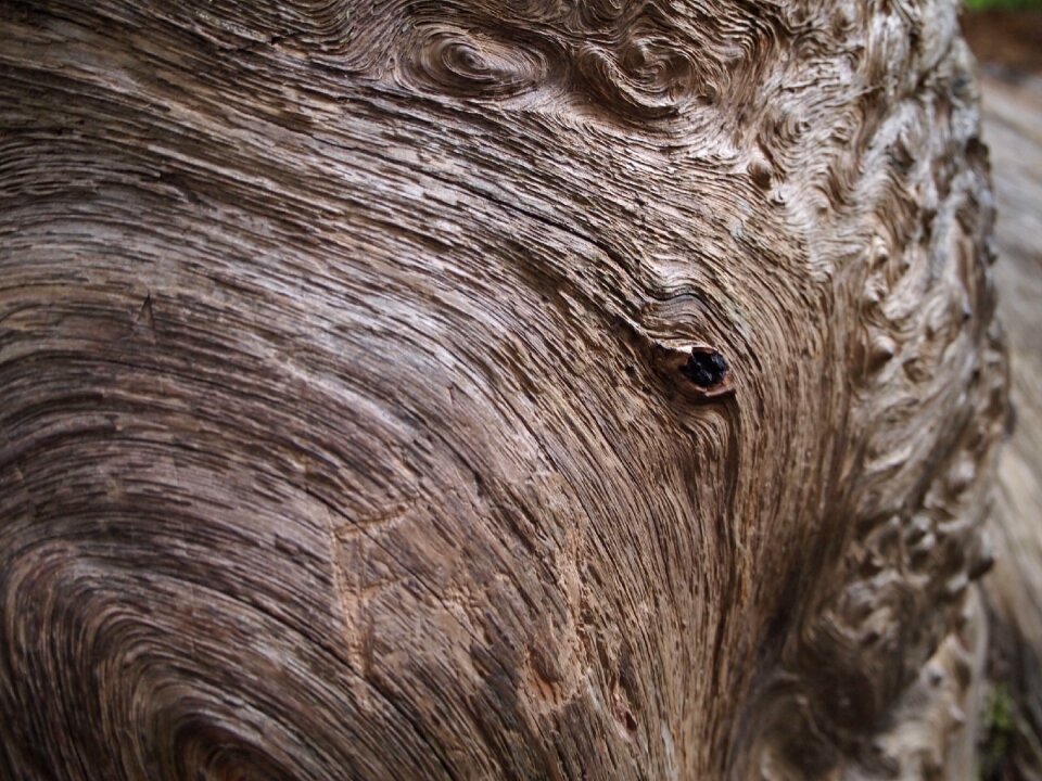 Texture pattern nature
