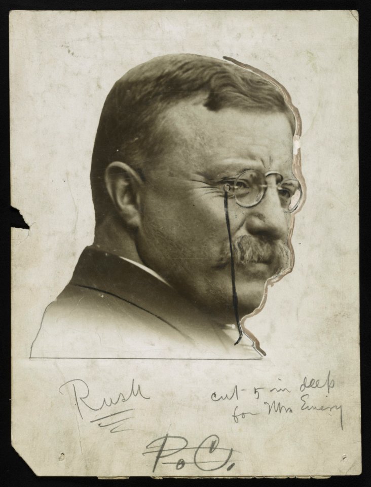 Theodore Roosevelt LCCN2013650918