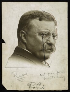 Theodore Roosevelt LCCN2013650918